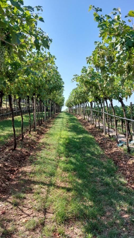Azienda Agrituristica Corteforte Fumane Εξωτερικό φωτογραφία
