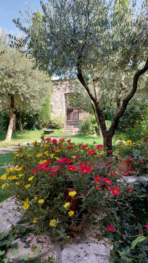 Azienda Agrituristica Corteforte Fumane Εξωτερικό φωτογραφία