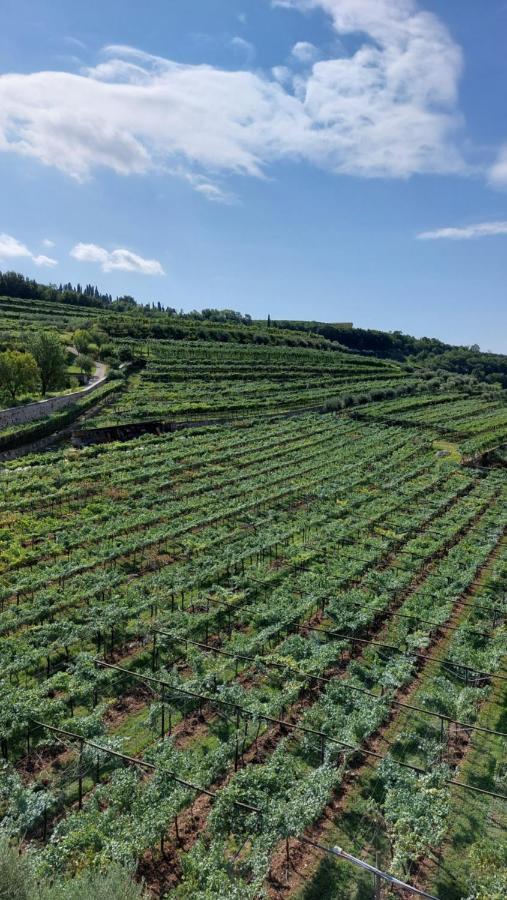 Azienda Agrituristica Corteforte Fumane Εξωτερικό φωτογραφία
