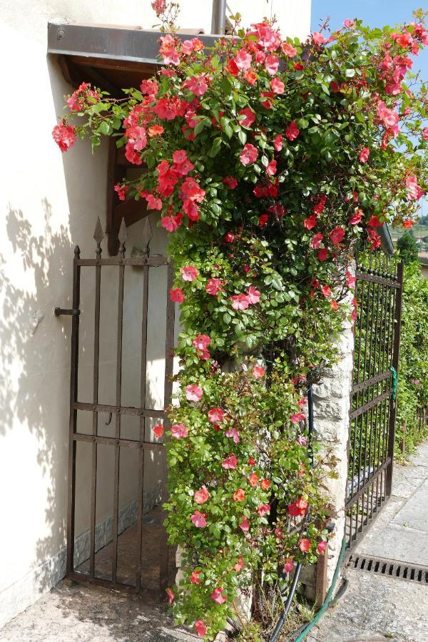Azienda Agrituristica Corteforte Fumane Εξωτερικό φωτογραφία