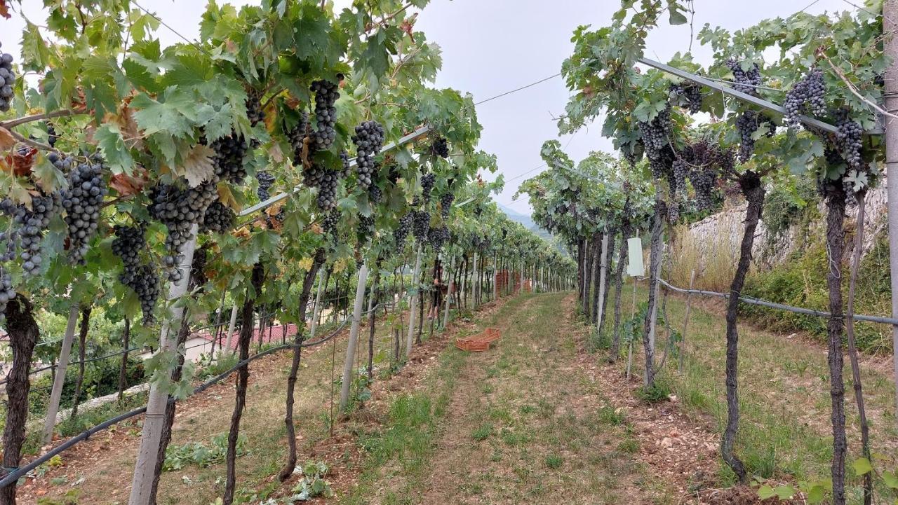 Azienda Agrituristica Corteforte Fumane Εξωτερικό φωτογραφία