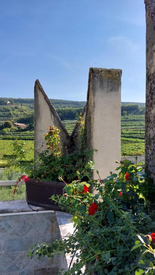 Azienda Agrituristica Corteforte Fumane Εξωτερικό φωτογραφία